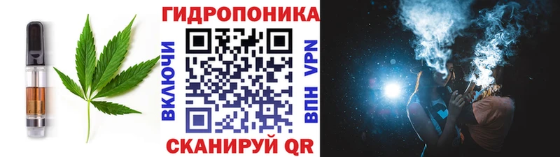 ОМГ ОМГ зеркало Кирс Еда ТГК конопля