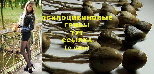 прущий лед Алексеевка