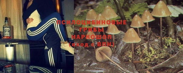 прущий лед Алексеевка