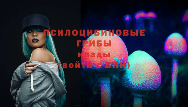 прущий лед Алексеевка