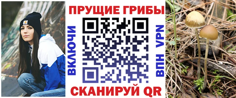 Псилоцибиновые грибы GOLDEN TEACHER наркотики Кирс