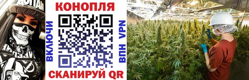 Канабис гибрид  blacksprut tor  Кирс 
